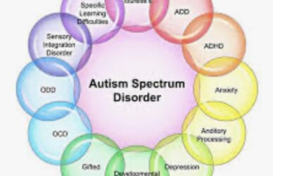 Autism 101- Episode 5 Steps to an Autism Diagnosis